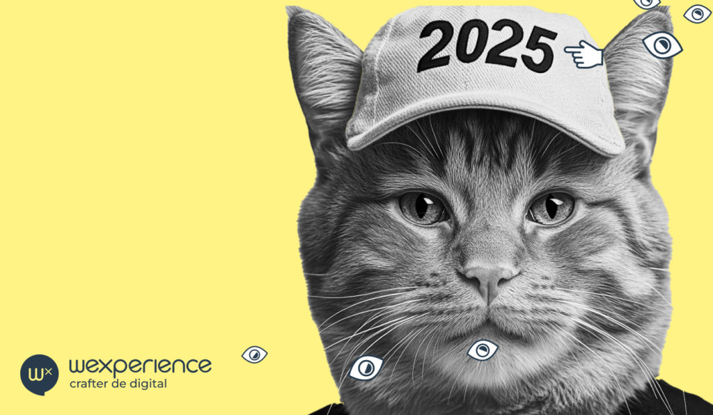 Un chat roux portant une casquette blanche avec l'inscription "2025" sur un fond jaune.